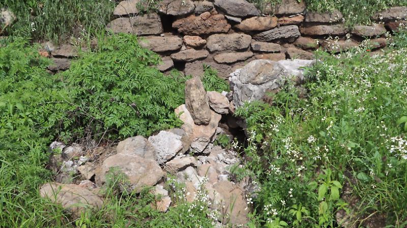 Zona arqueológica de El Rosario